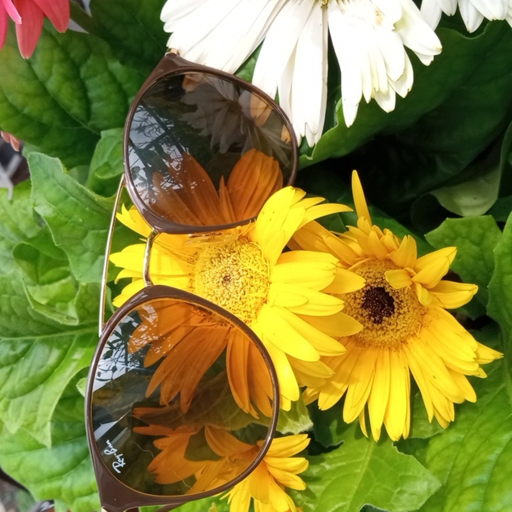 Ray Ban Sunglasses 😎 Glass  lens